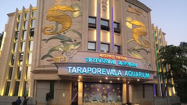 Why Is Taraporewala Aquarium Closed