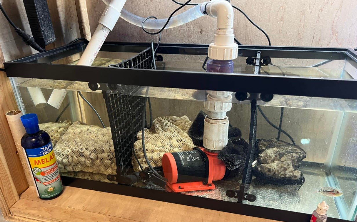 Why Use A Sump For An Aquarium