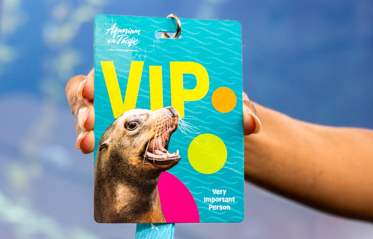 Why Is The Aquarium Of The Pacific So Expensive