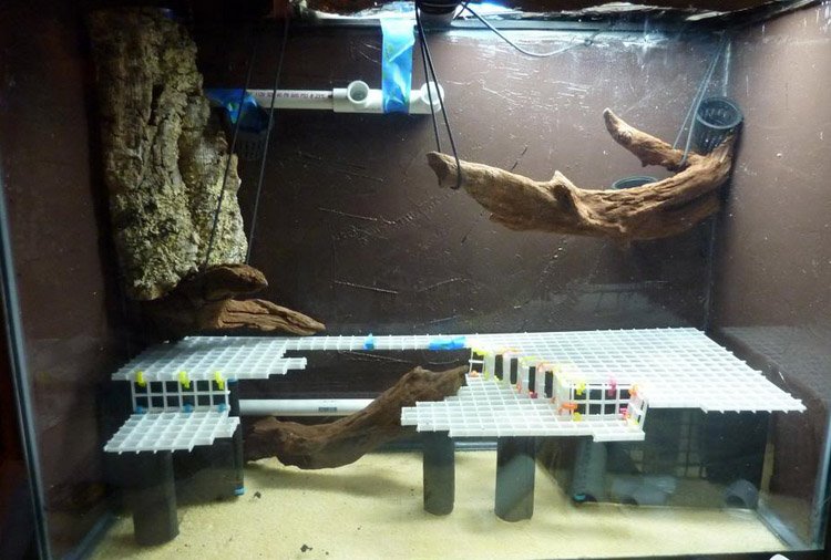 Why Use Egg Crate In Aquarium