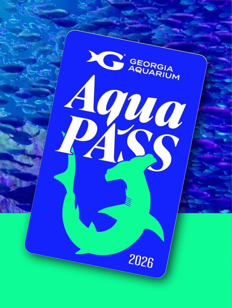 Why Is Georgia Aquarium Closed Today