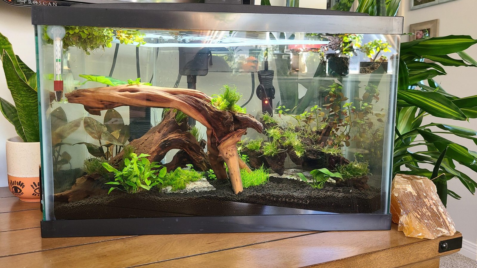 Why Is The Ph In My Aquarium So Low