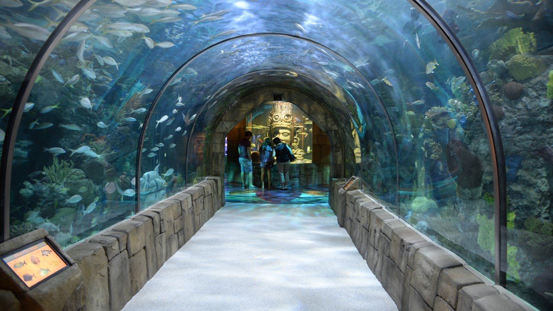 Why Is The New Orleans Aquarium Closed