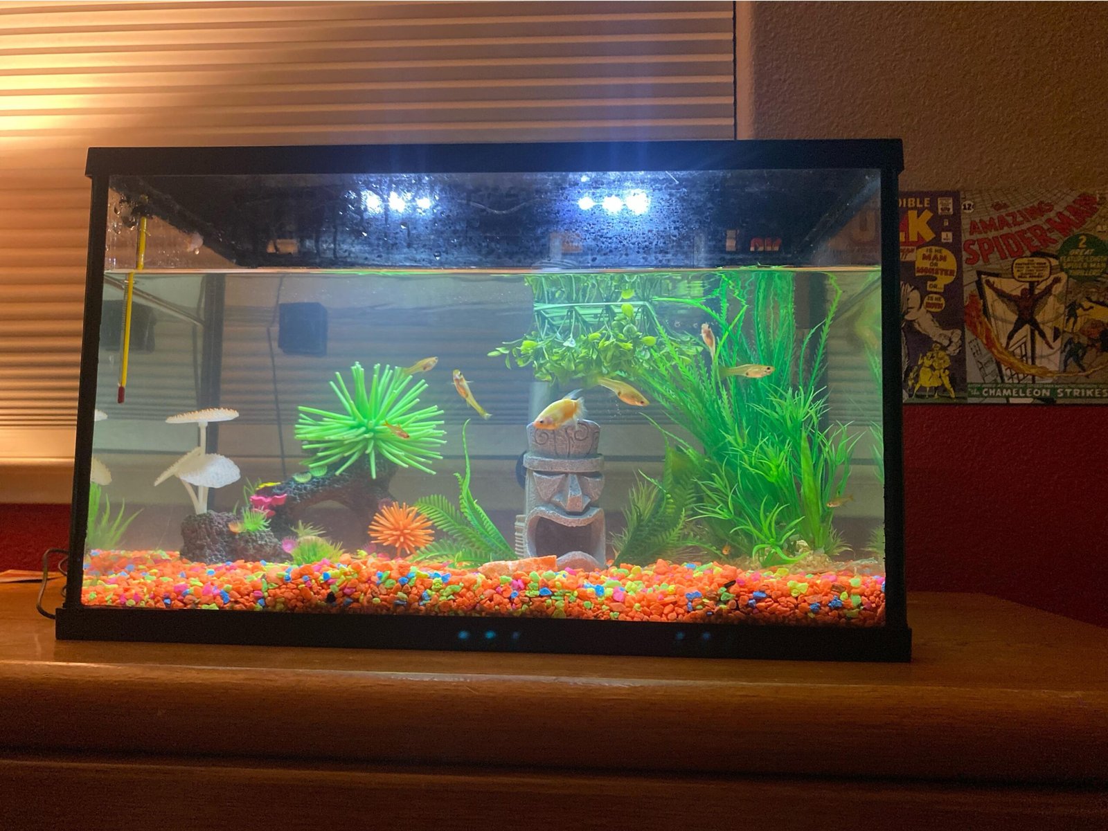 Why Does Aquarium Water Smell