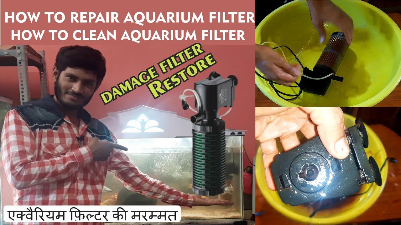 Aquarium Pump Issues