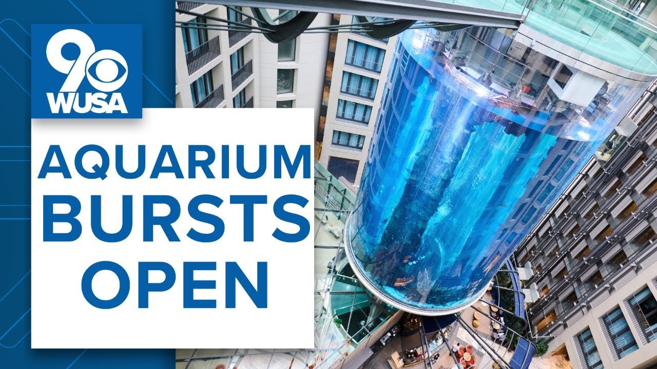 Why The World's Biggest Aquarium Broke