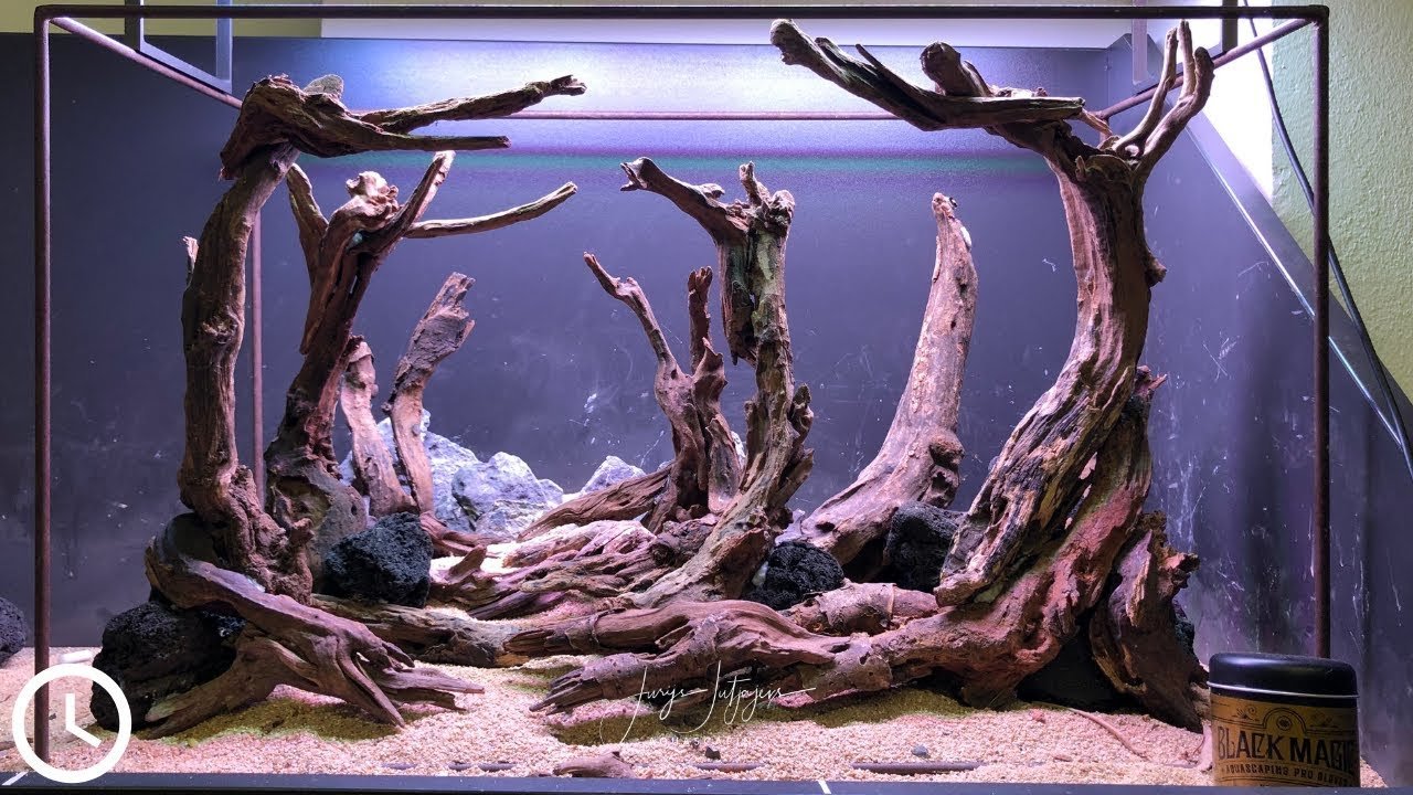 Why Is Driftwood Good For Aquarium