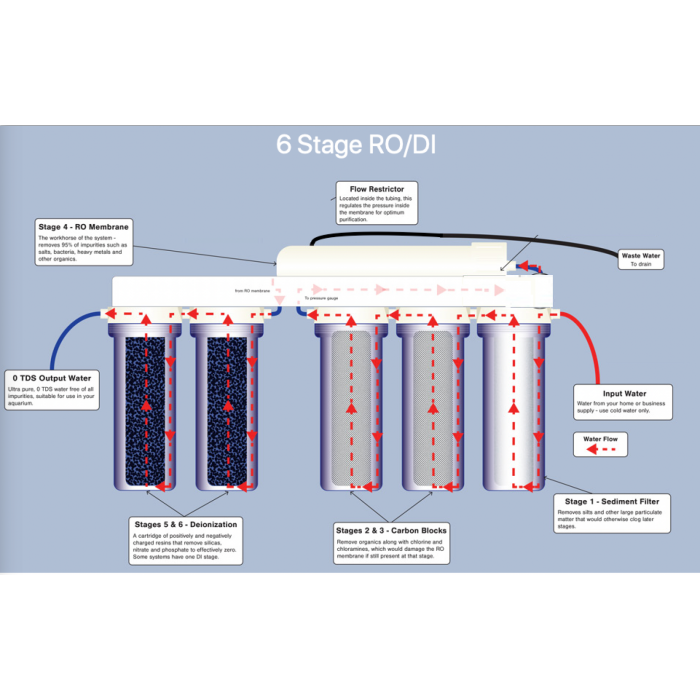 Why Use Ro Water In An Aquarium