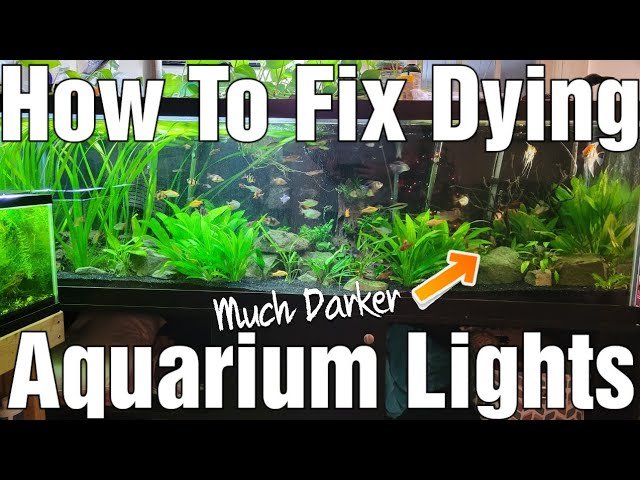 Why Is My Led Aquarium Light Blinking
