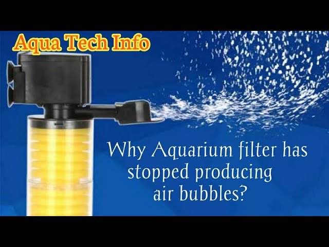 Aquarium Filter Bubbles