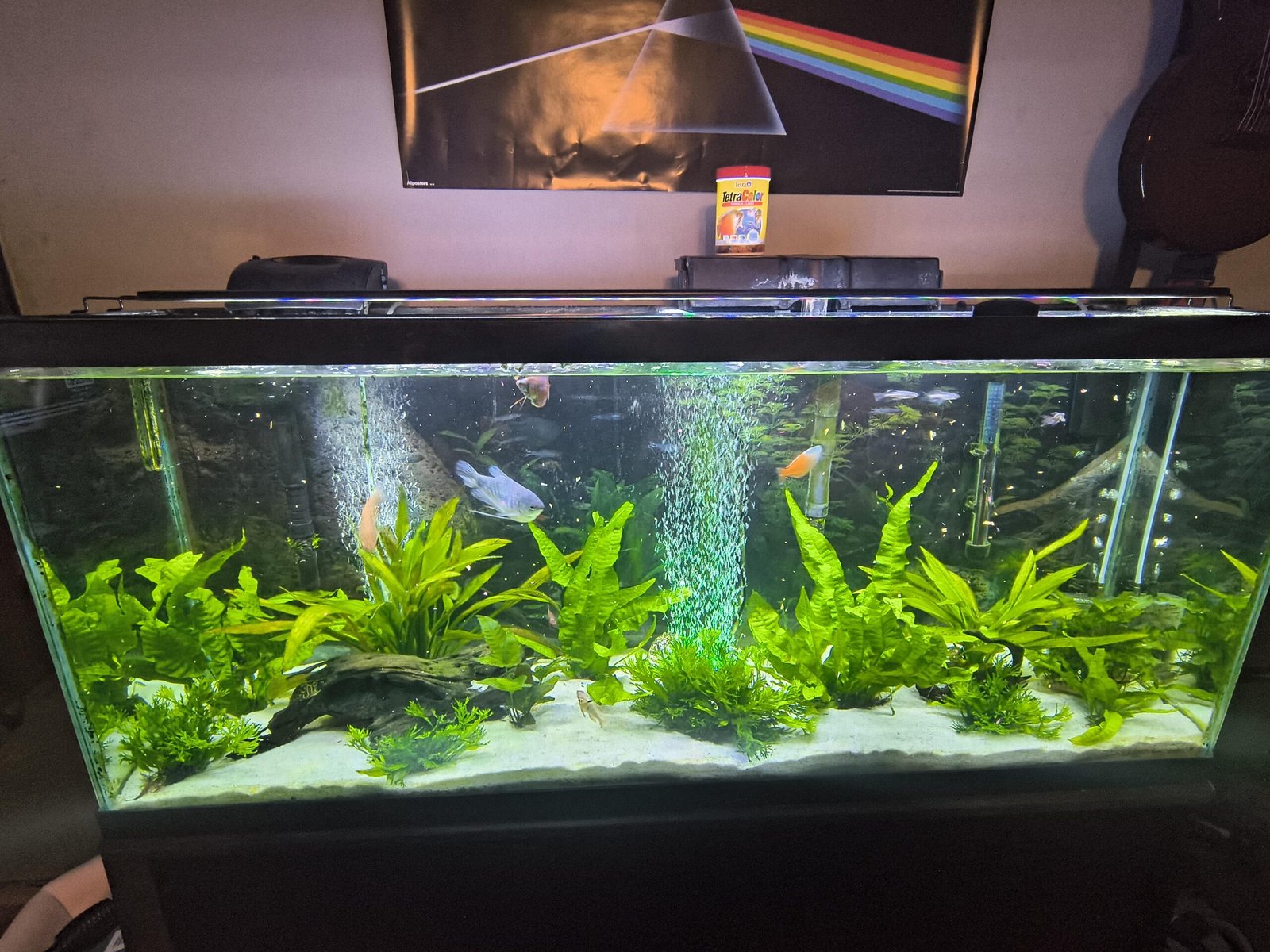 Why Does The Water In My Aquarium Evaporate So Fast