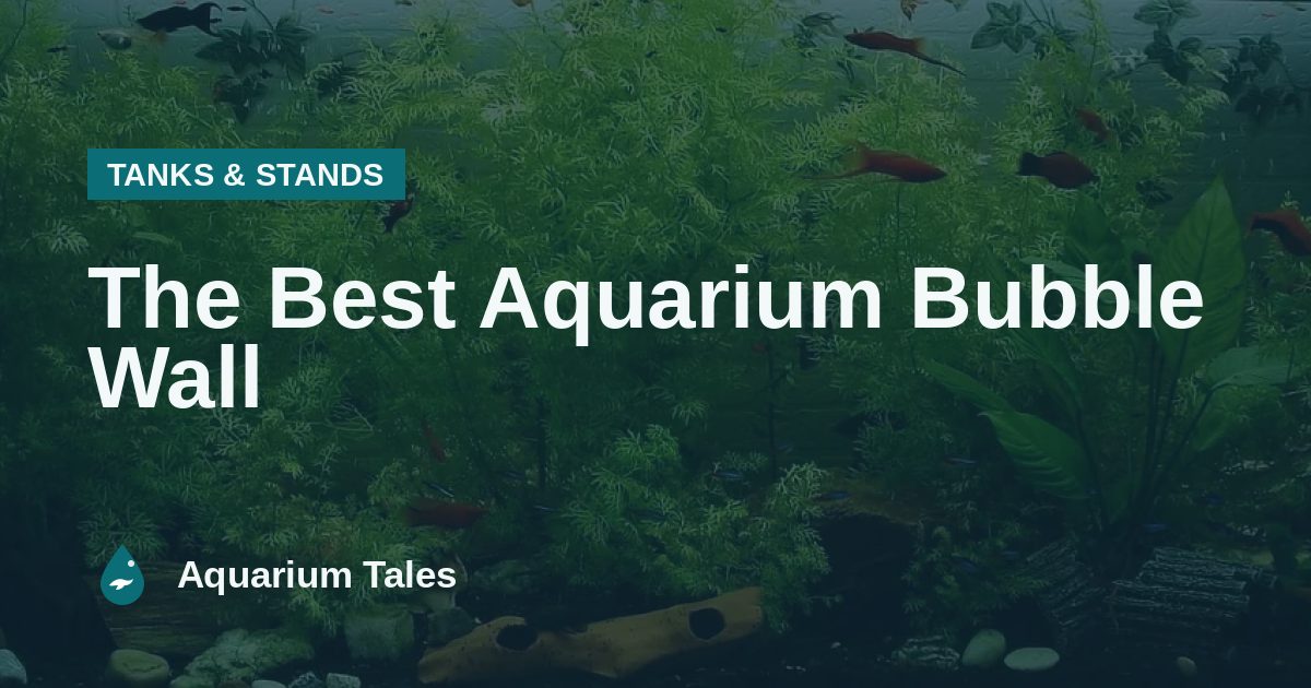 The Best Aquarium Bubble Wall