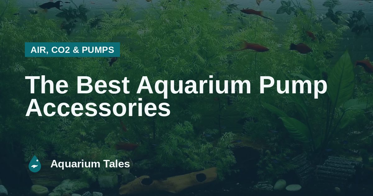 The Best Aquarium Pump Accessories