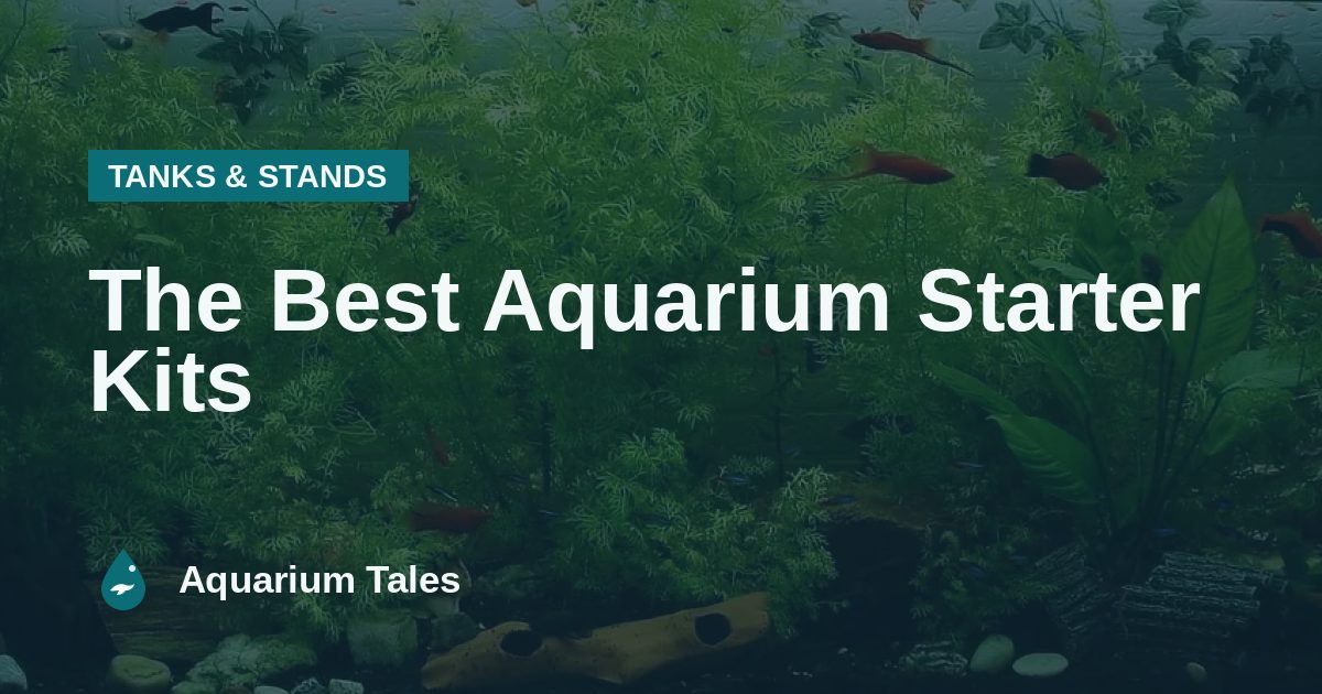 The Best Aquarium Starter Kits