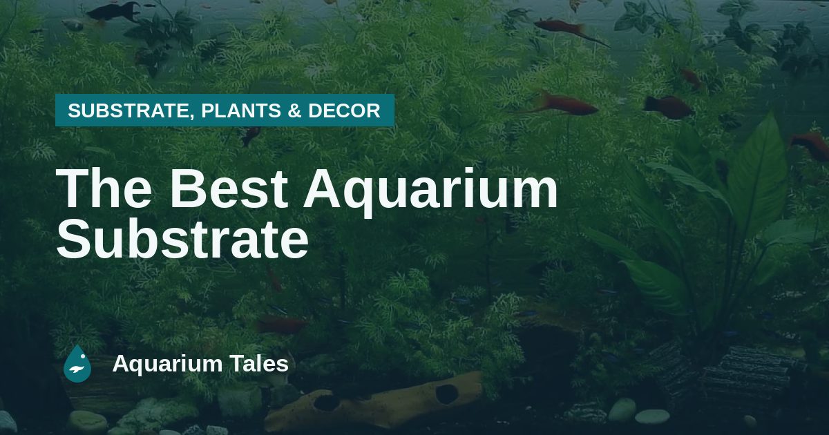 The Best Aquarium Substrate