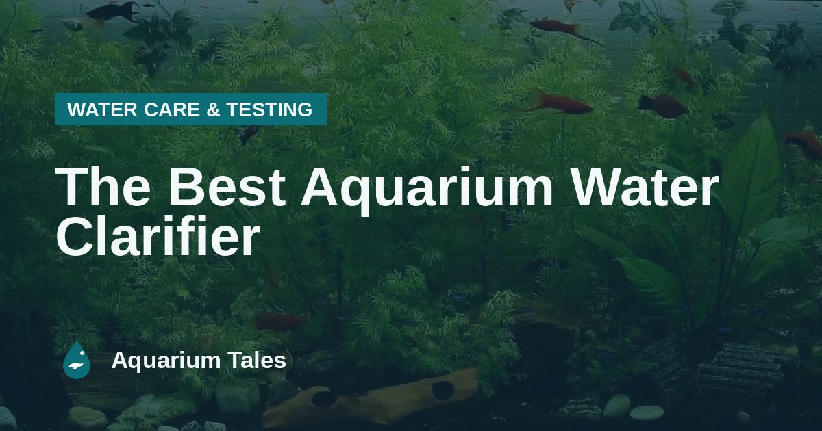 The Best Aquarium Water Clarifier