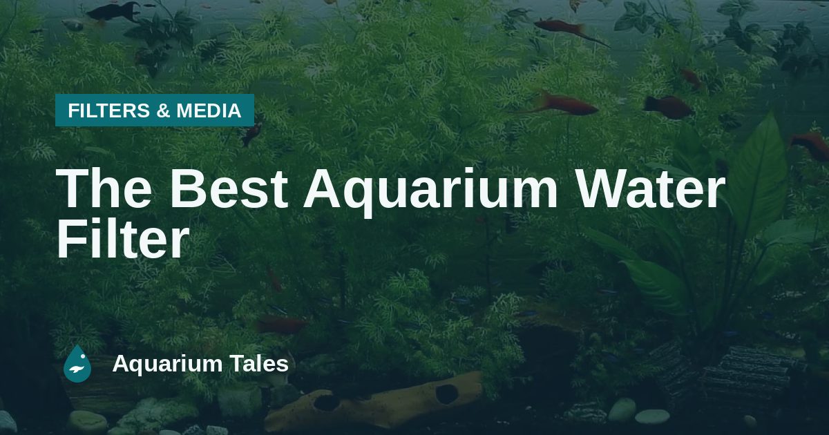 The Best Aquarium Water Filter